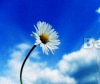 images/avatars/avatar-952.jpg